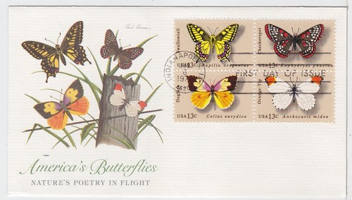 Turtlestradingpost farfalle - -,
