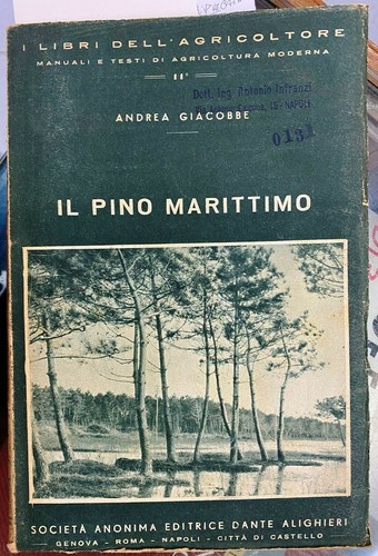 Giacobbe il - giacobbe,