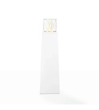 CAMINO BIOETANOLO DA TERRA PER