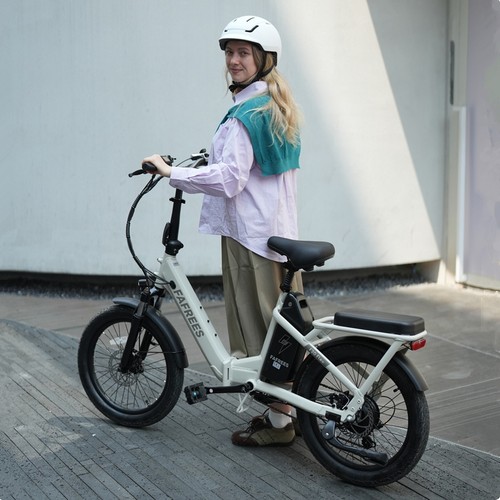 Bicicletta elettrica