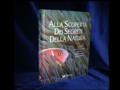Alla scoperta dei segreti - scoperta,