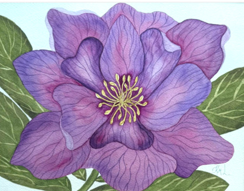 Pittura acquerello 11x14 - 11x14, e