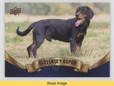 2018 Upper Deck Canine