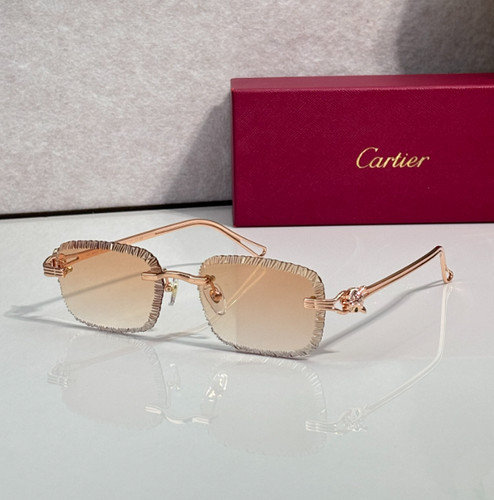 Cartier décor panthère rare - décor,