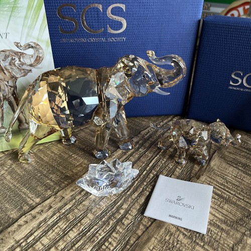 Swarovski scs edizione annuale - edizione,