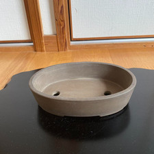 ottimo vaso bonsai