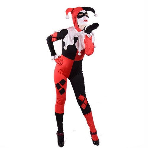 Costume harley quinn - costume, cosplay