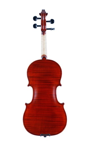 Violino professionale fatto - , a