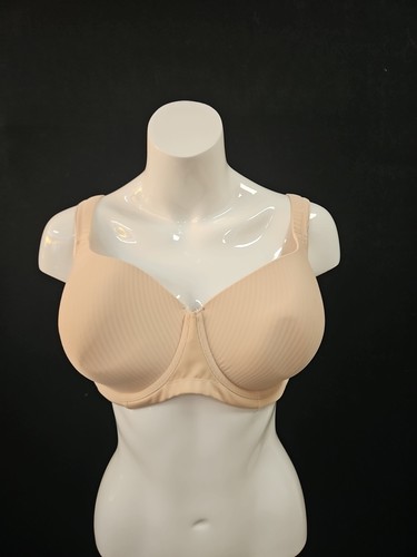 Triumph modern soft cotone - soft+cotone, wp