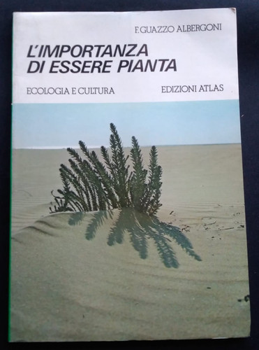 Importanza essere pianta - l'importanza,