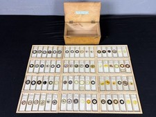 Antique 1906 Cased Group Of 72