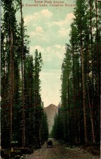 Snow Peak Avenue, Emerald