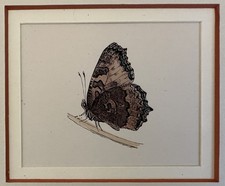 FARFALLE CROMOLITOGRAFIA