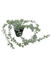 IKEA FEJKA Pianta Artificiale