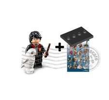 LEGO Minifigures collezione