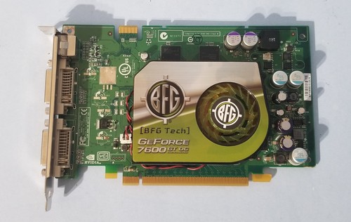 Scheda video bfg nvidia - video,