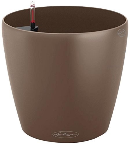 Lechuza 13183 owl - 21),