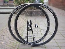 Set ruote Campagnolo Shamal