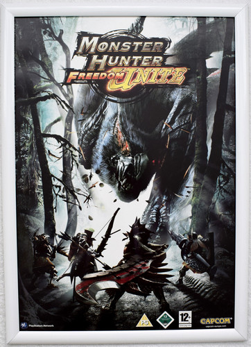 Monster hunter freedom unite - monster,