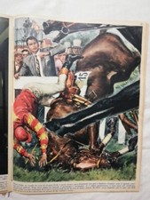 Cavallo Da Corsa Di Gregory