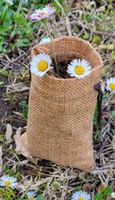 Humus lombrico concime Bio