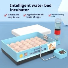 Rutabaga Chicken Pet Incubator