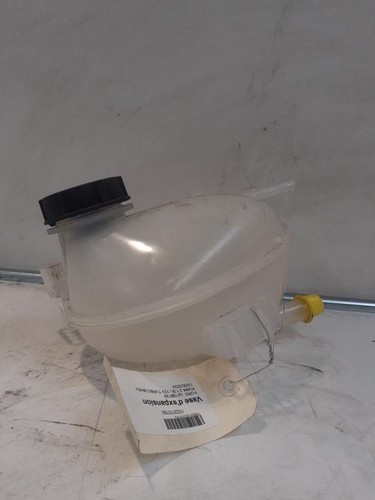Vaso espansione ford - di,