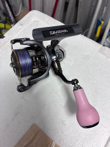 Mulinello spinning daiwa - spinning,