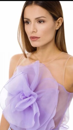 Elisabetta franchi top - elisabetta, in