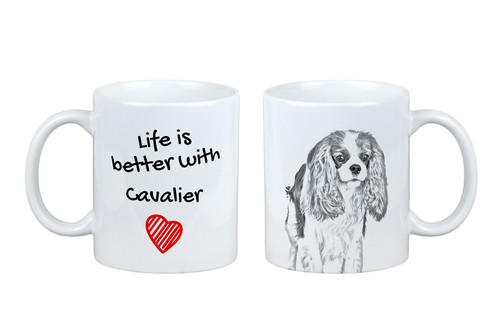 Cavalier king charles - cavalier,
