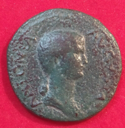 Impero romano antonia moglie - romano,
