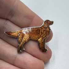 Spilla bavero smaltata Golden