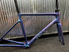 Colnago V4Rs 51  2024