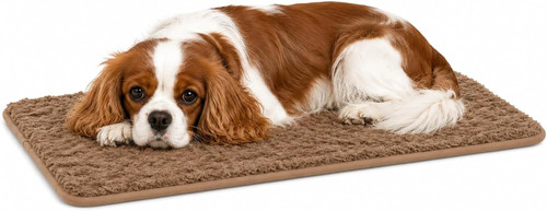 Cuccia cane cuscino - cane,