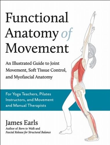 Functional anatomy movement - anatomy, of
