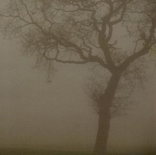 Jesu - Silver - Jesu CD XEVG