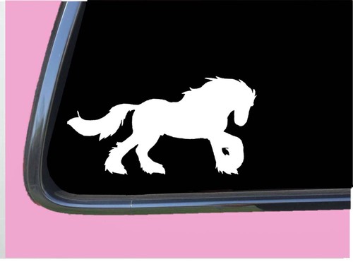 Adesivo gypsy vanner - vanner, cavallo