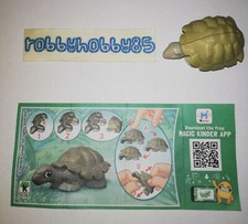 DV282 TARTARUGA + BPZ KINDER