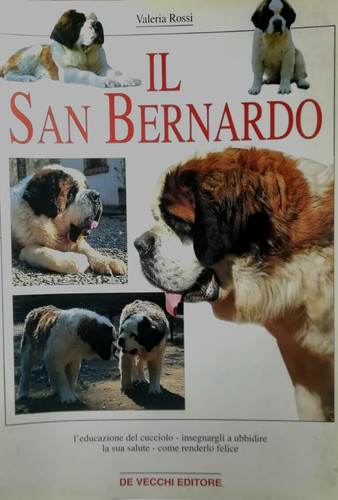 San bernardo valeria - san,