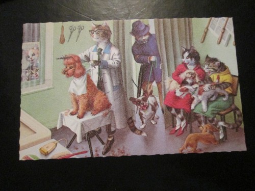 Humour postcard cartoon - humour,