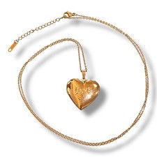 Steel Heart Necklace Photo