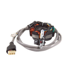Statore poli bobine - 6,