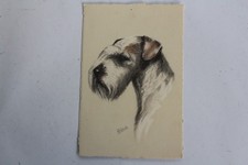 Old postcard illustrated Gauli