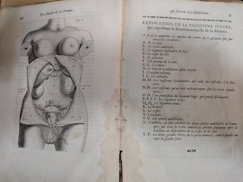 Libro antico mauritius - libro,