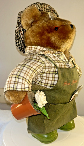 Rarissimo orso giardinaggio - orso, da