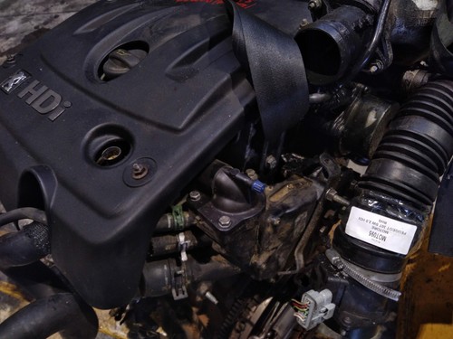 Rhs motore completo peugeot - rhs,