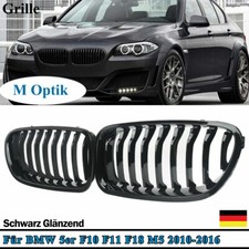 Griglia radiatore reni