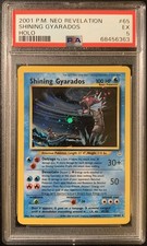 🐉 Shining Gyarados 65/66 -