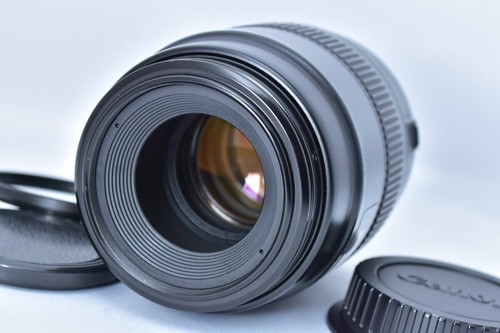 Canon 100mm 8 macro - 100mm,