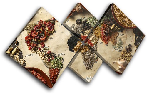 Spices world map atlas - map,